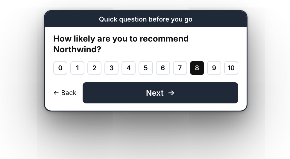 On-site NPS widget